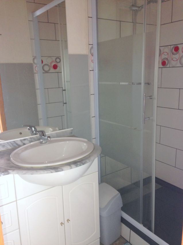 EN BAS : Salle de bain avec grande douche, Sèche serviettes électrique WC séparé.