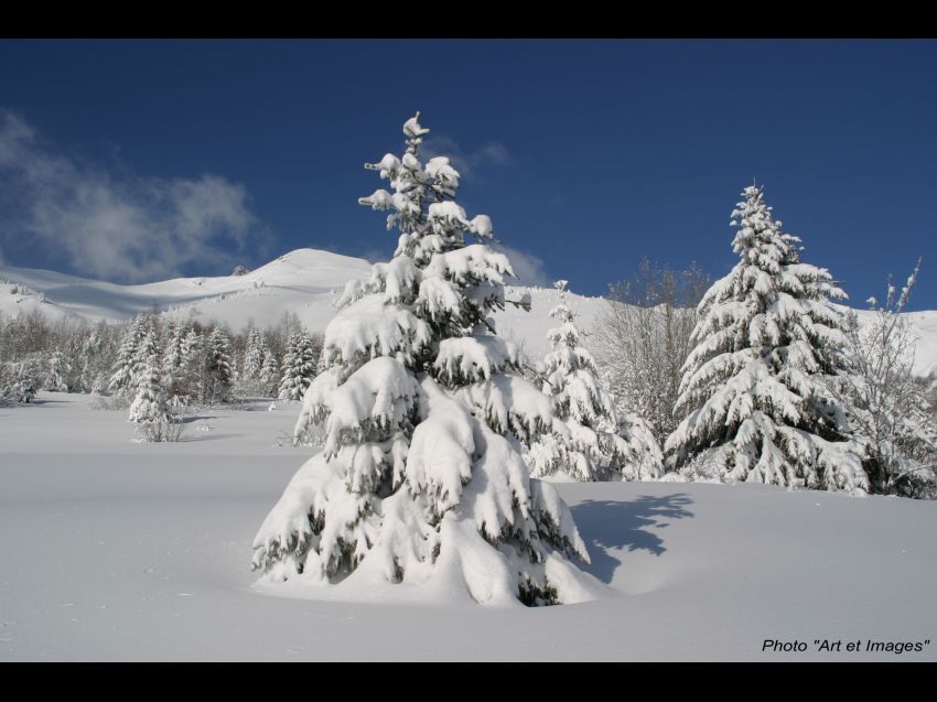 APPARTEMENT 8 PERS DANS CHALET NEUF